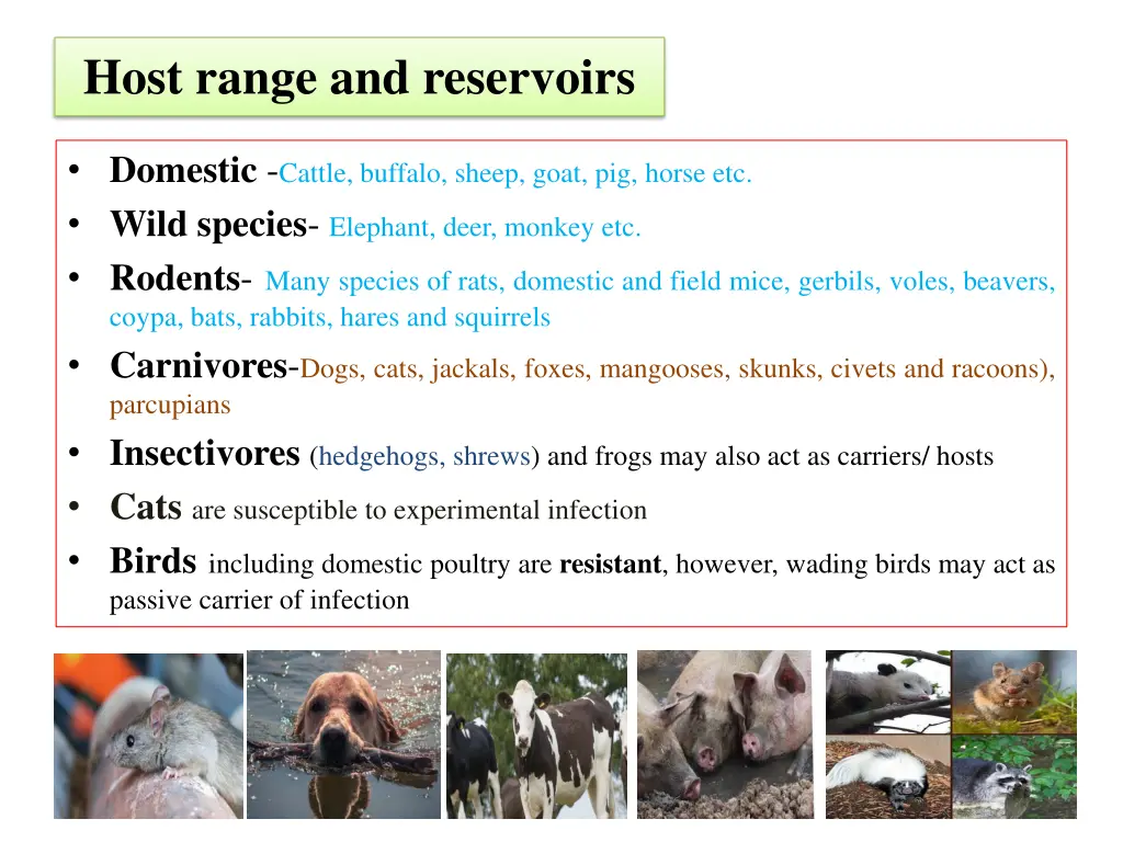 host range and reservoirs