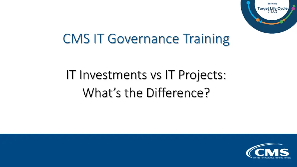 cms it governance training