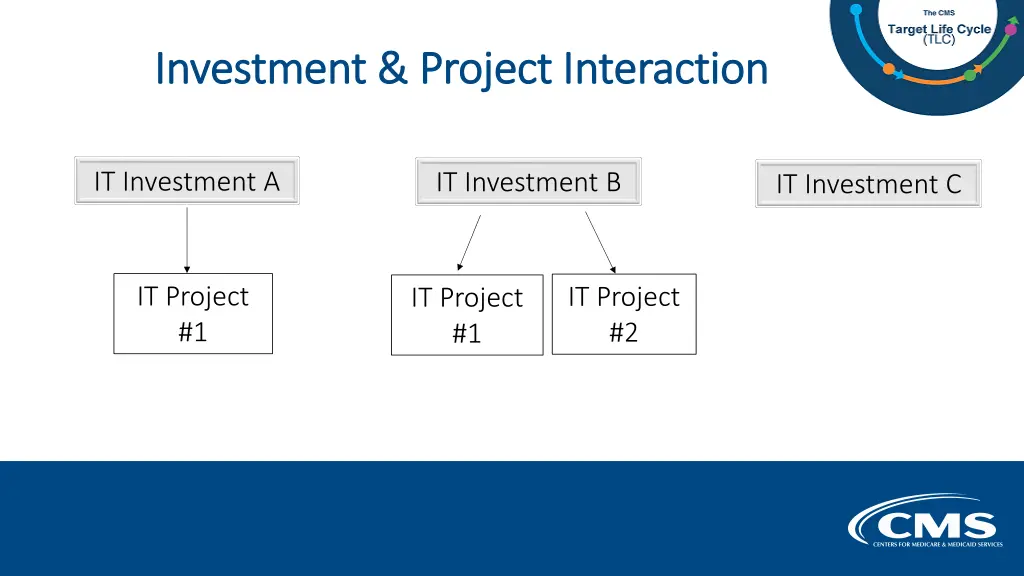 investment project interaction investment project