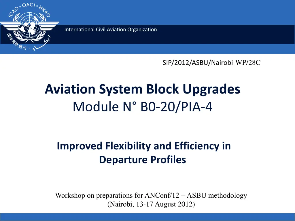 international civil aviation organization