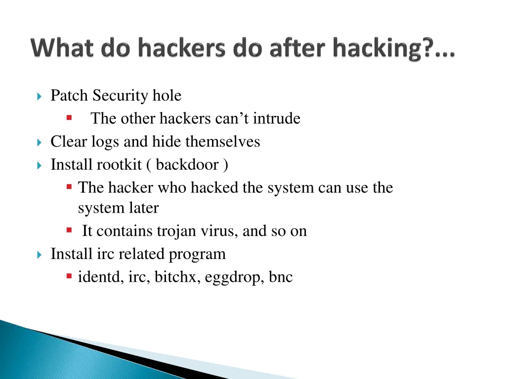 patch security hole the other hackers