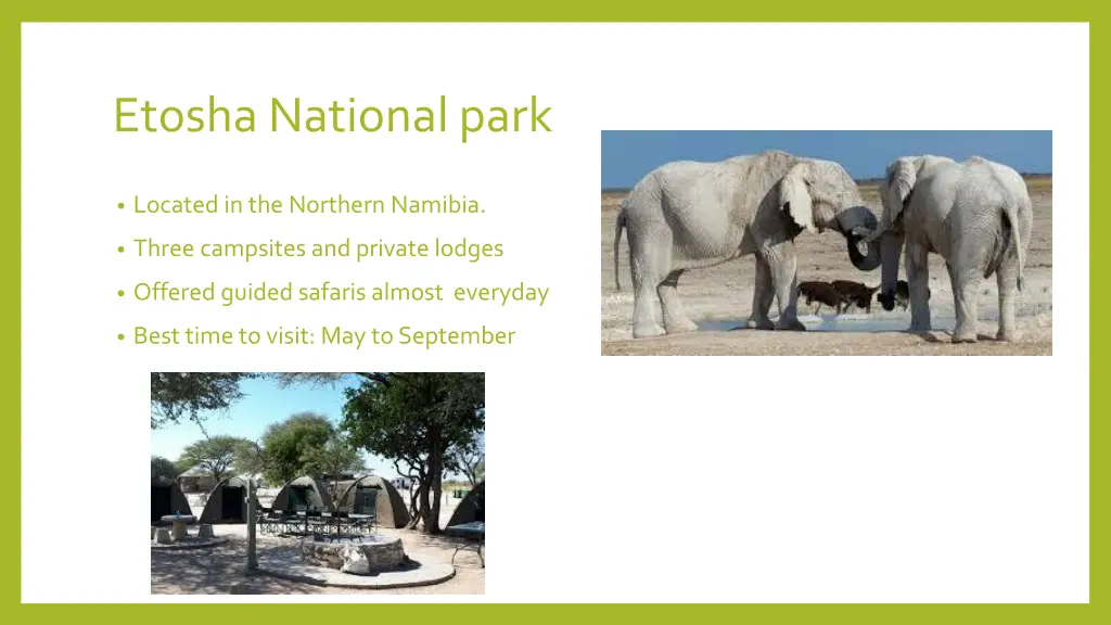 etosha national park