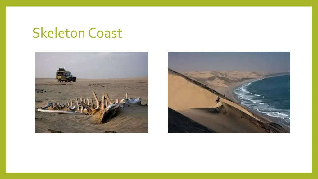 skeleton coast