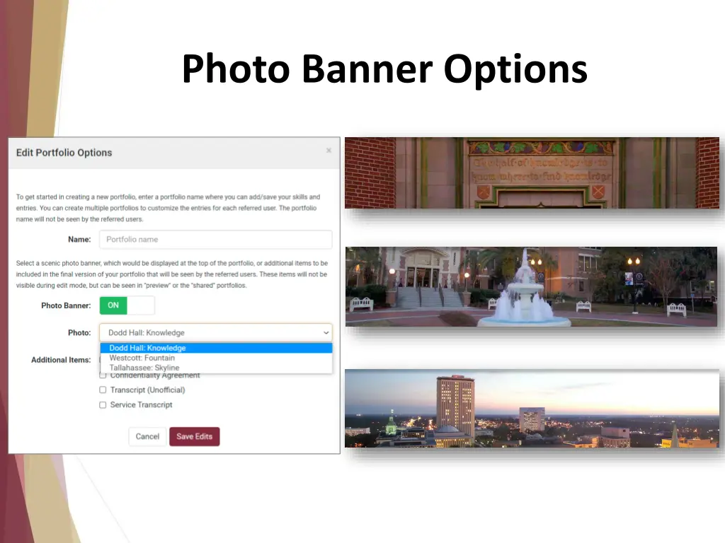 photo banner options