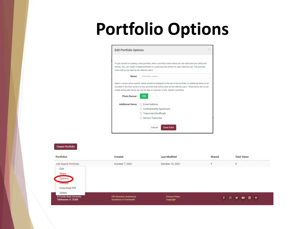 portfolio options