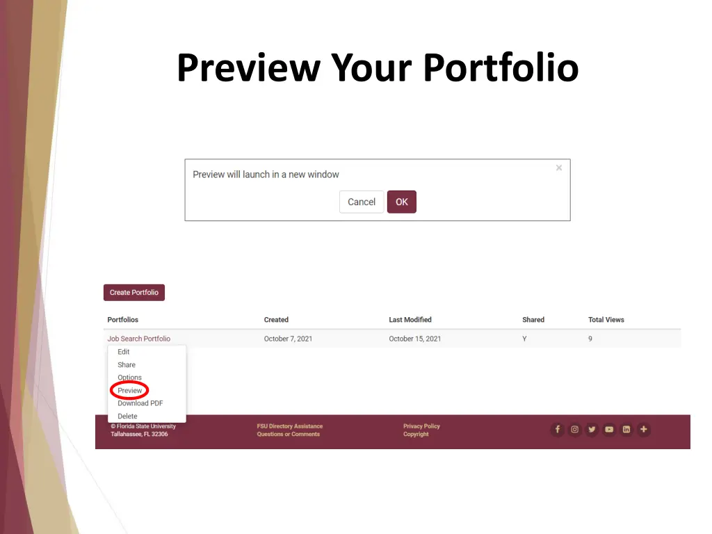 preview your portfolio