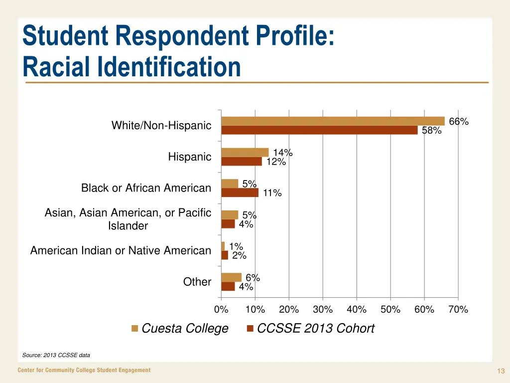 student respondent profile racial identification