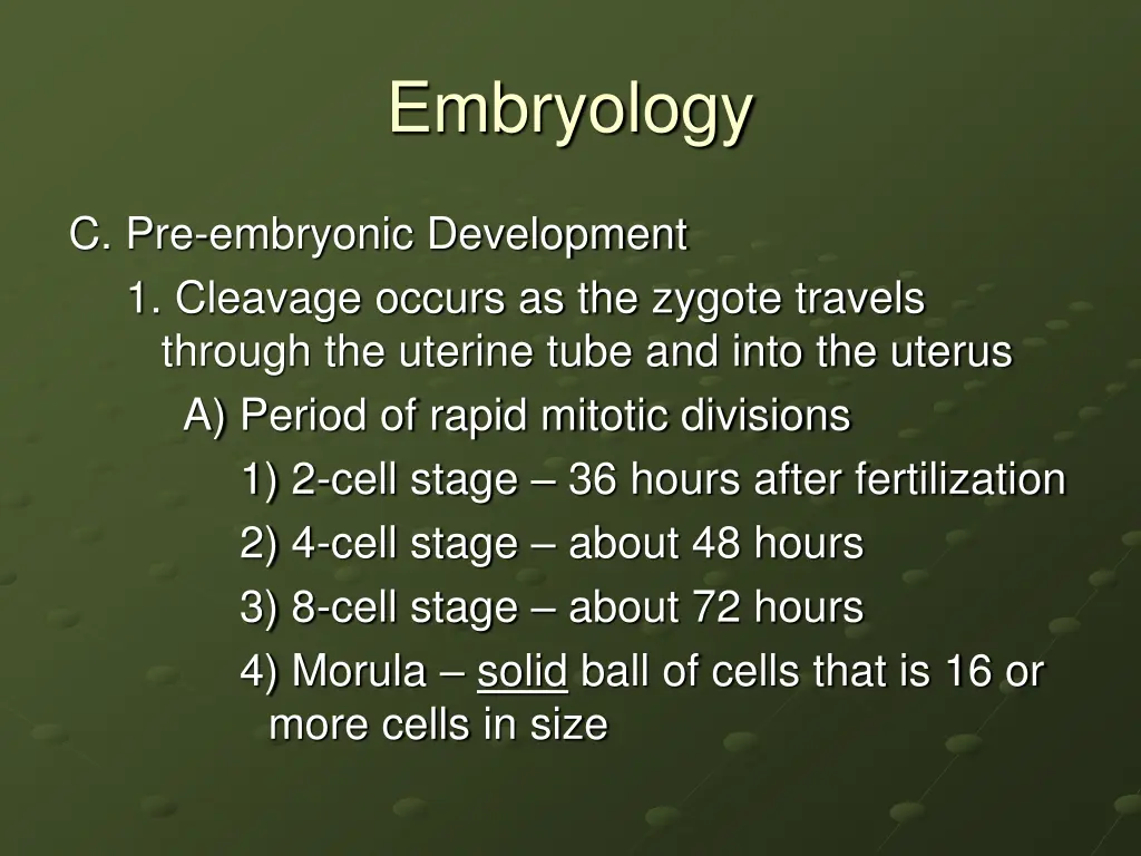 embryology 11