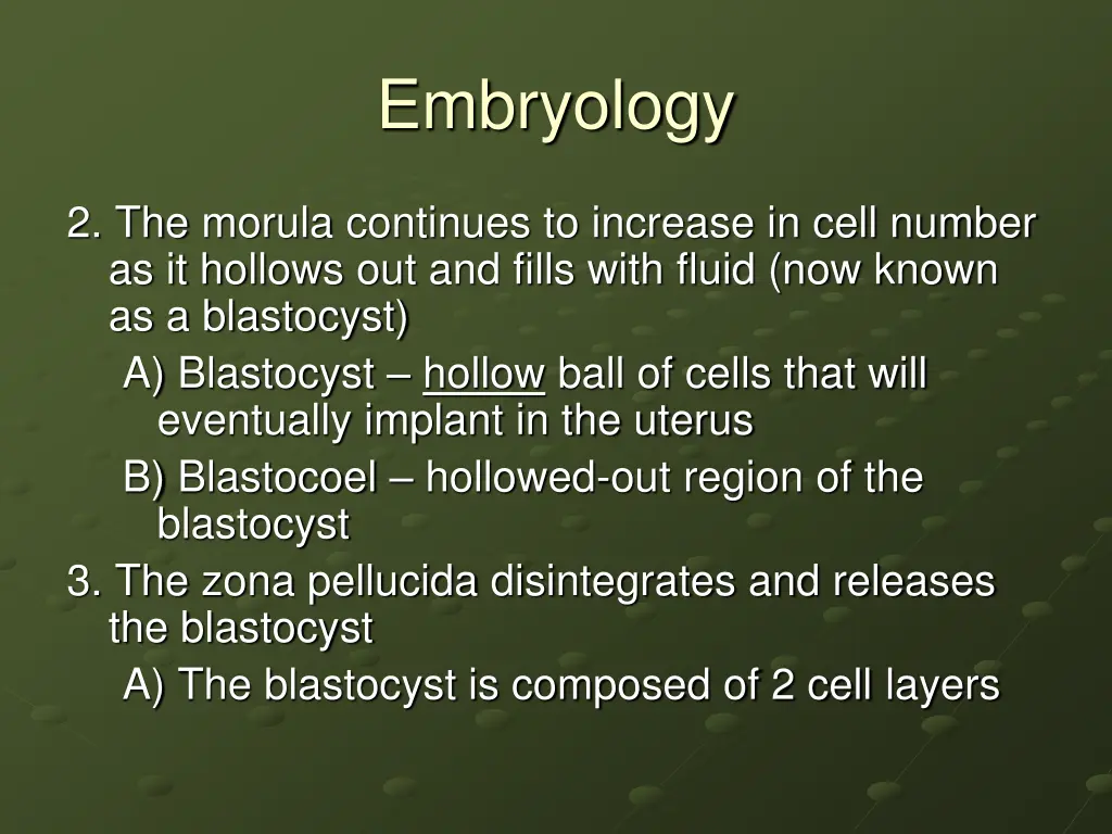 embryology 12