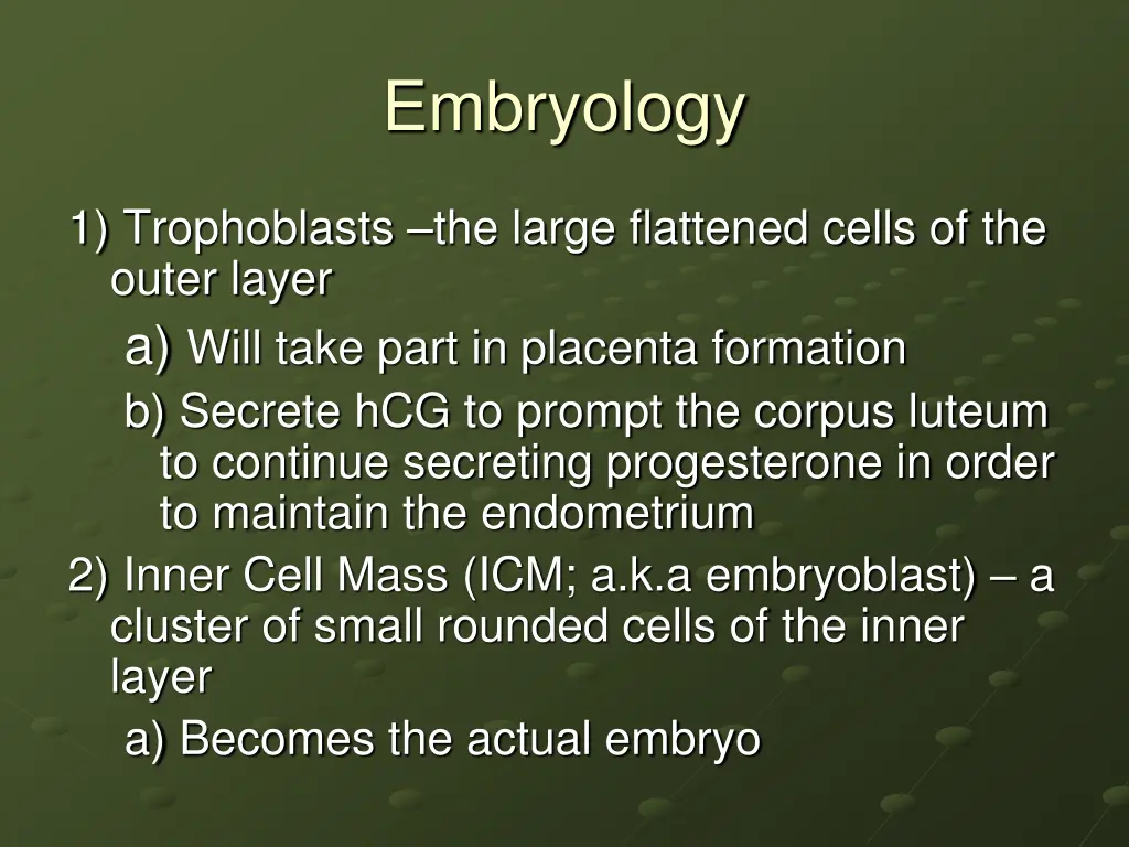 embryology 13