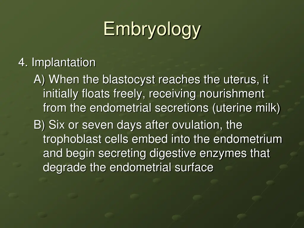 embryology 14