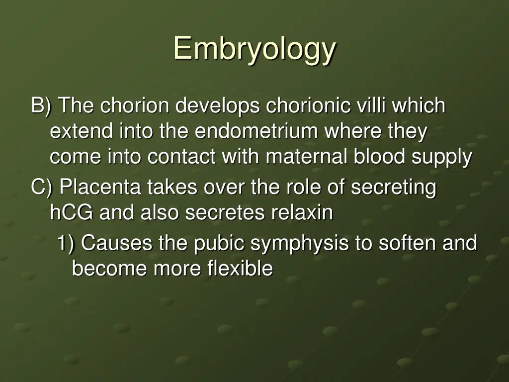 embryology 16