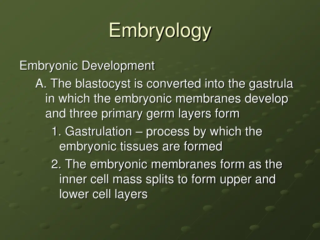 embryology 17