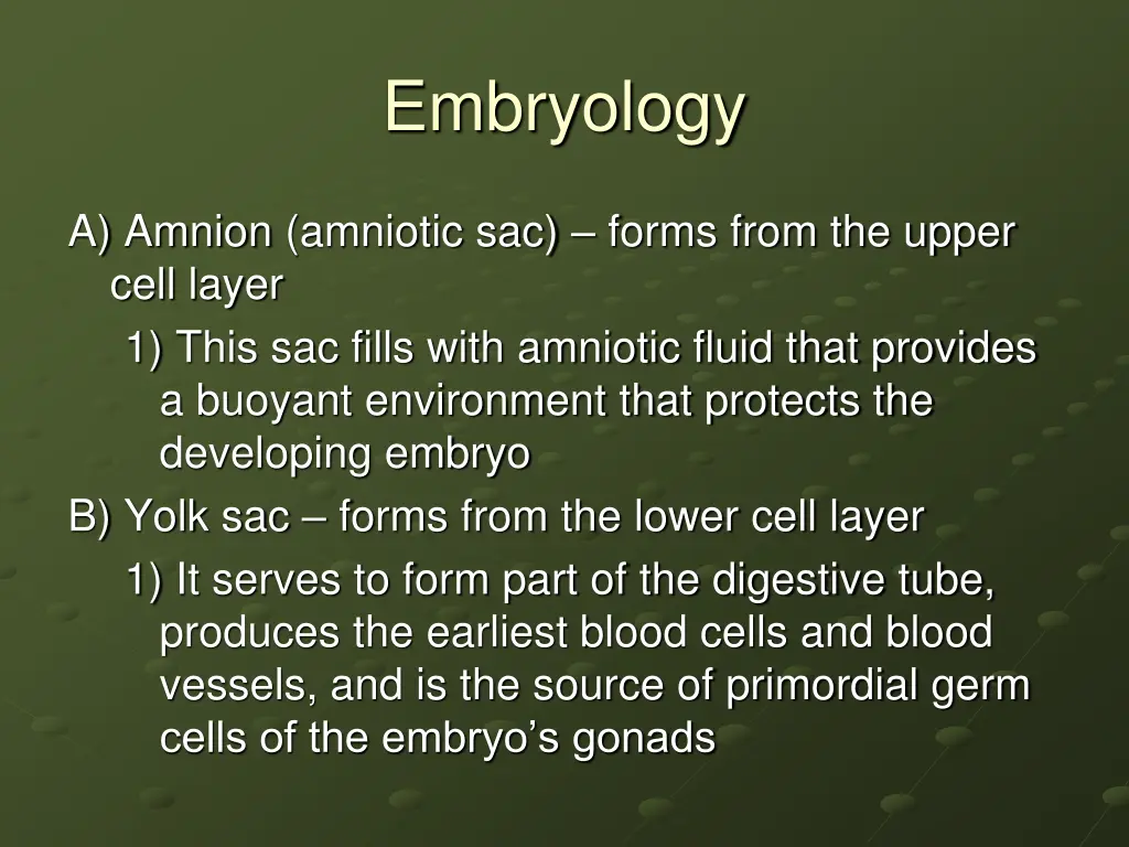 embryology 18