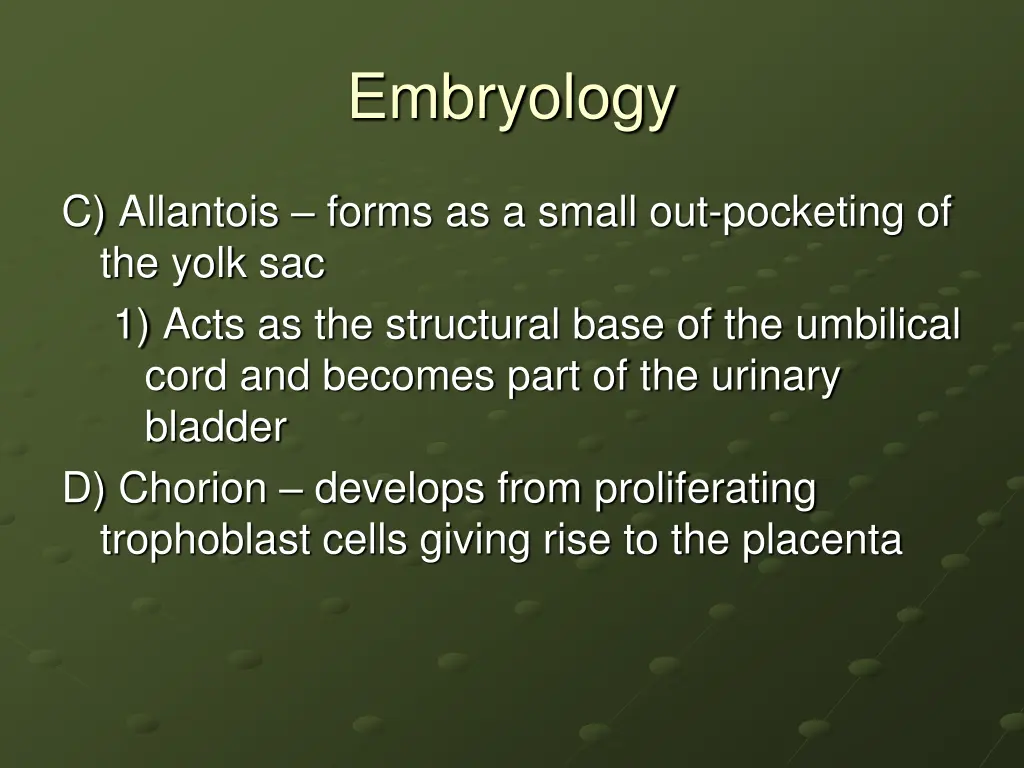 embryology 19