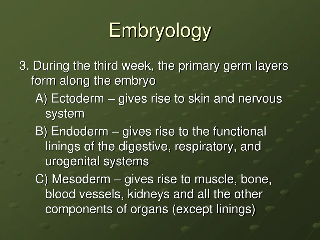 embryology 20