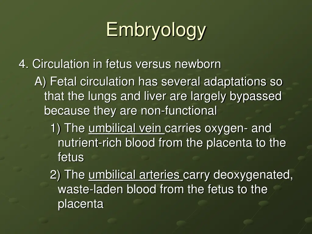 embryology 21