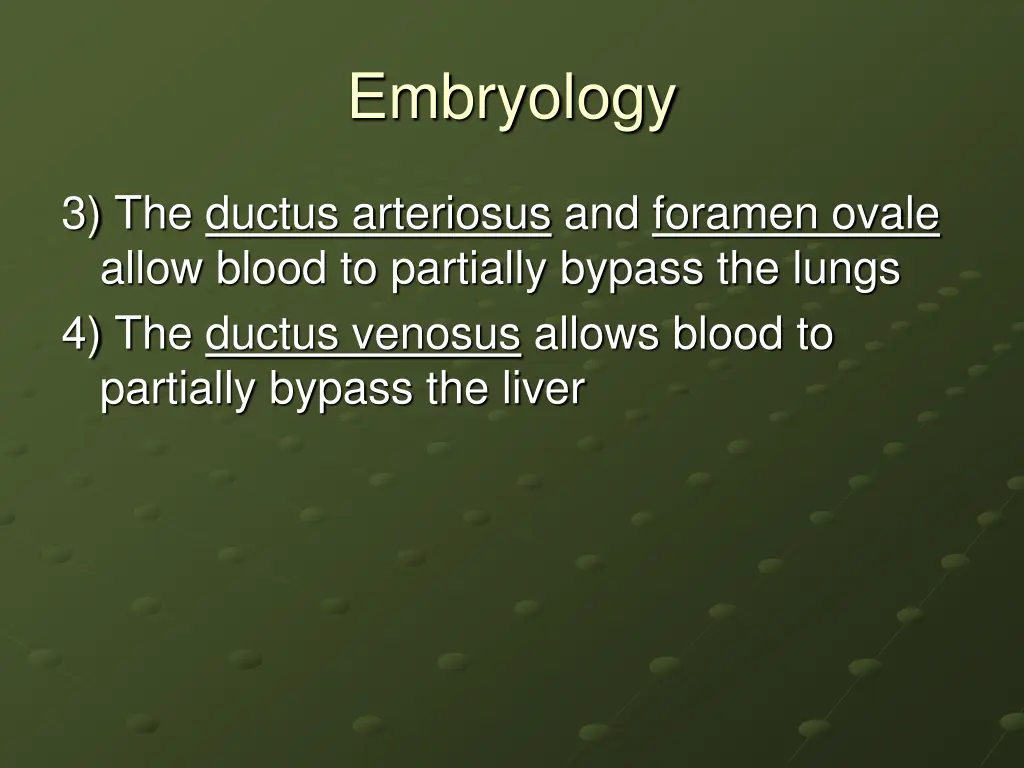 embryology 22