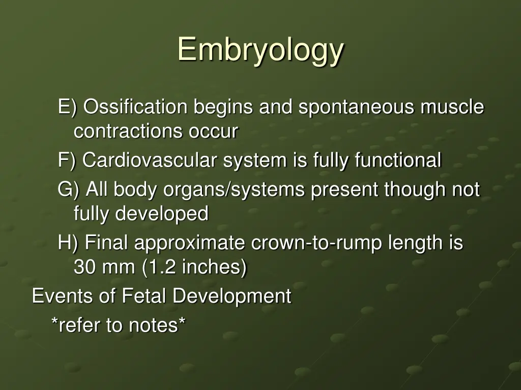 embryology 24