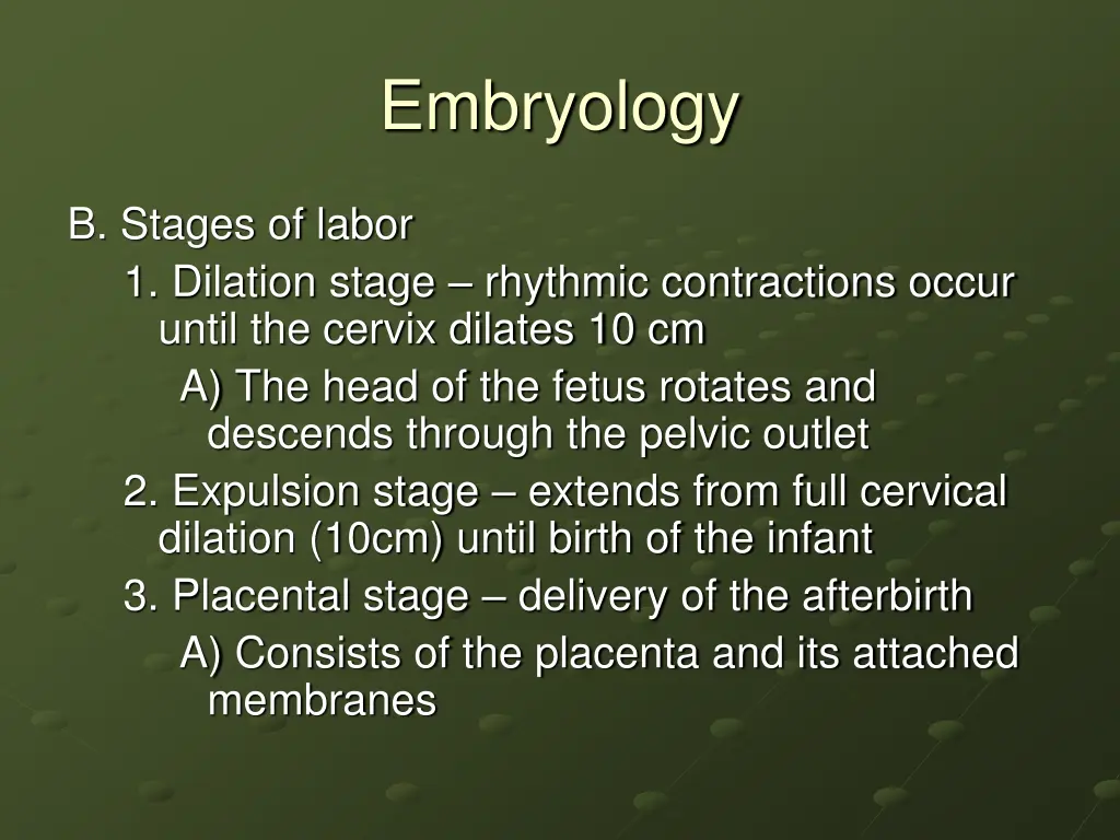 embryology 27