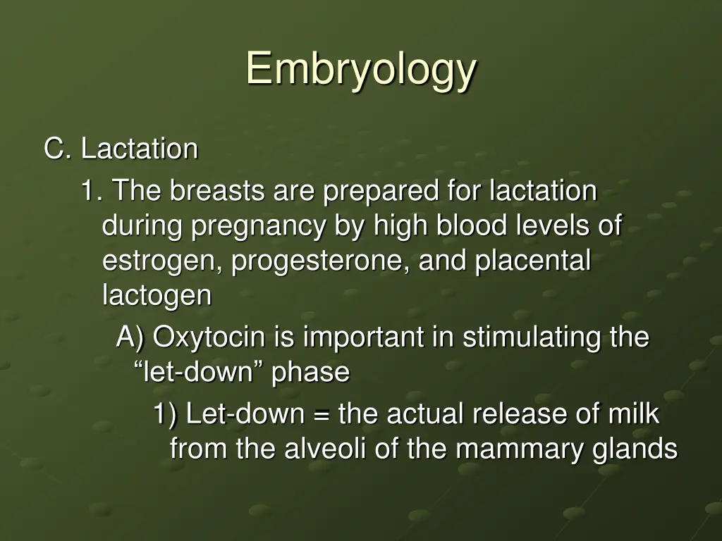 embryology 28