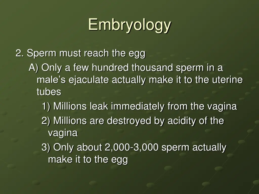 embryology 3
