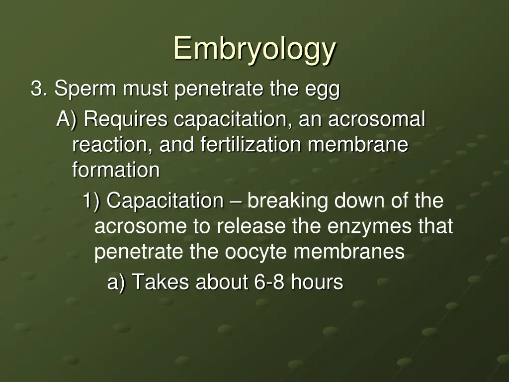 embryology 4