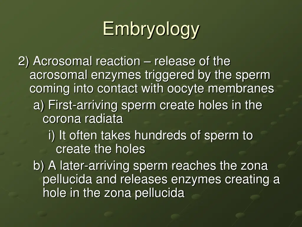 embryology 5