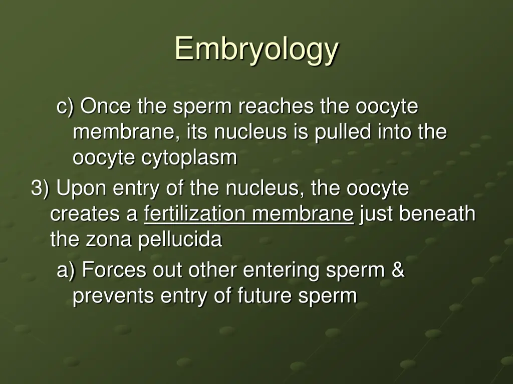 embryology 6
