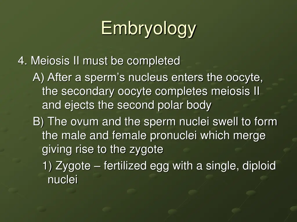 embryology 7
