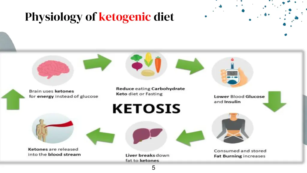 physiology of ketogenic diet