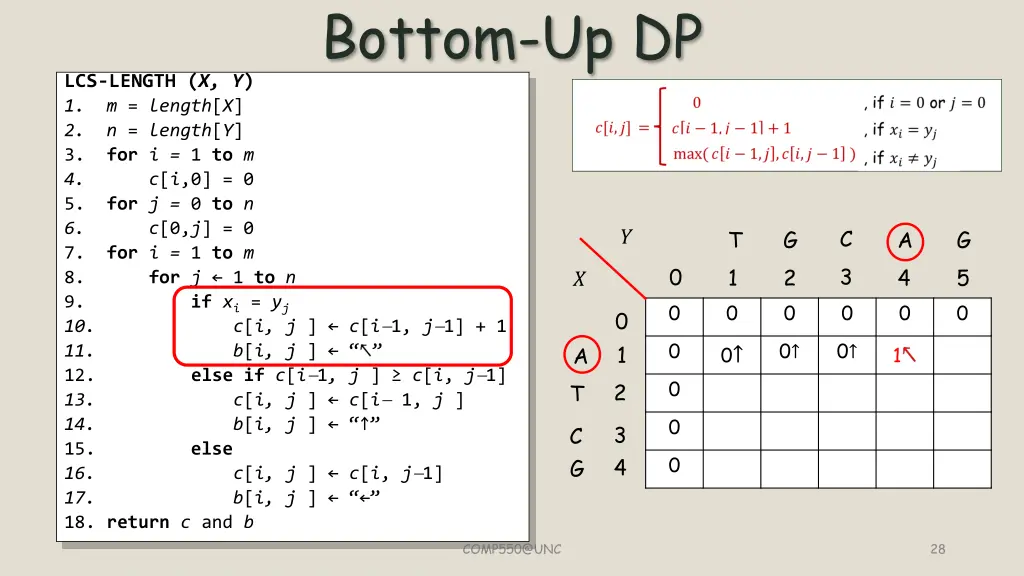 bottom up dp 13