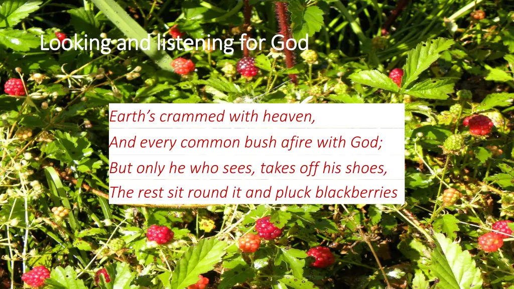 looking and listening for god looking