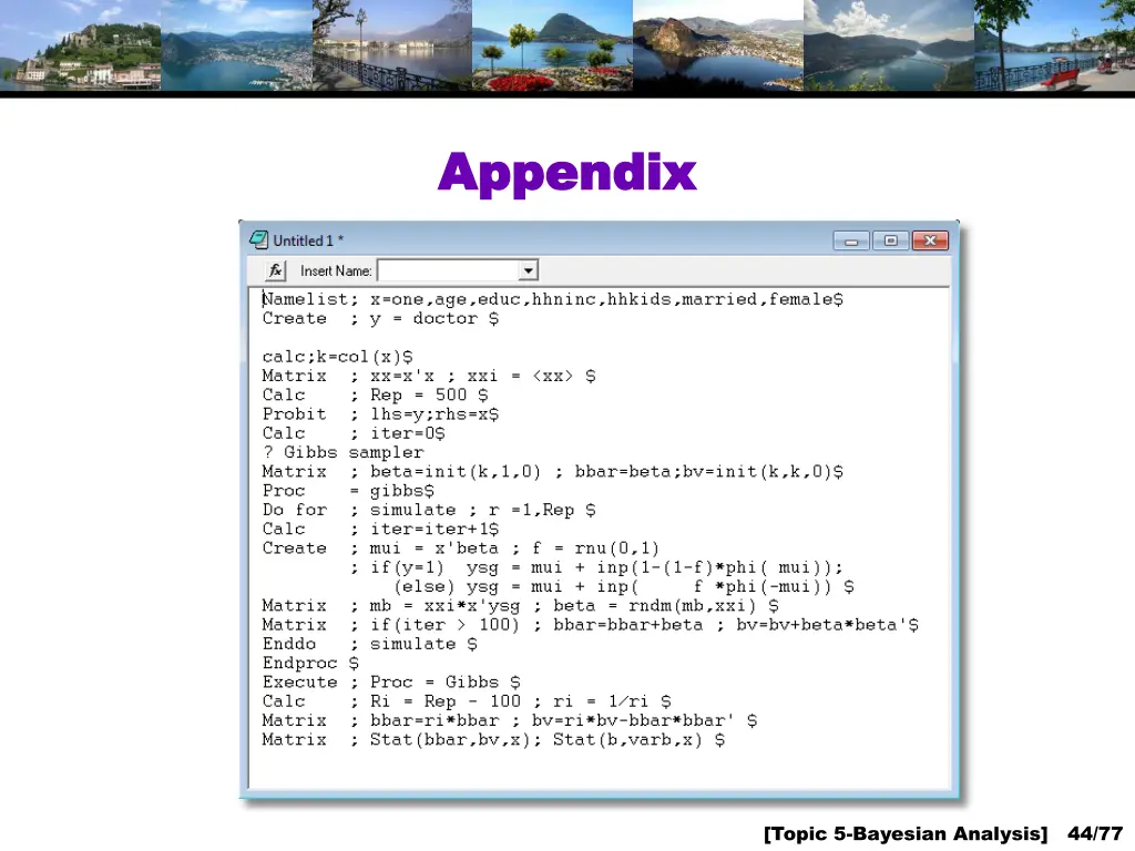appendix appendix