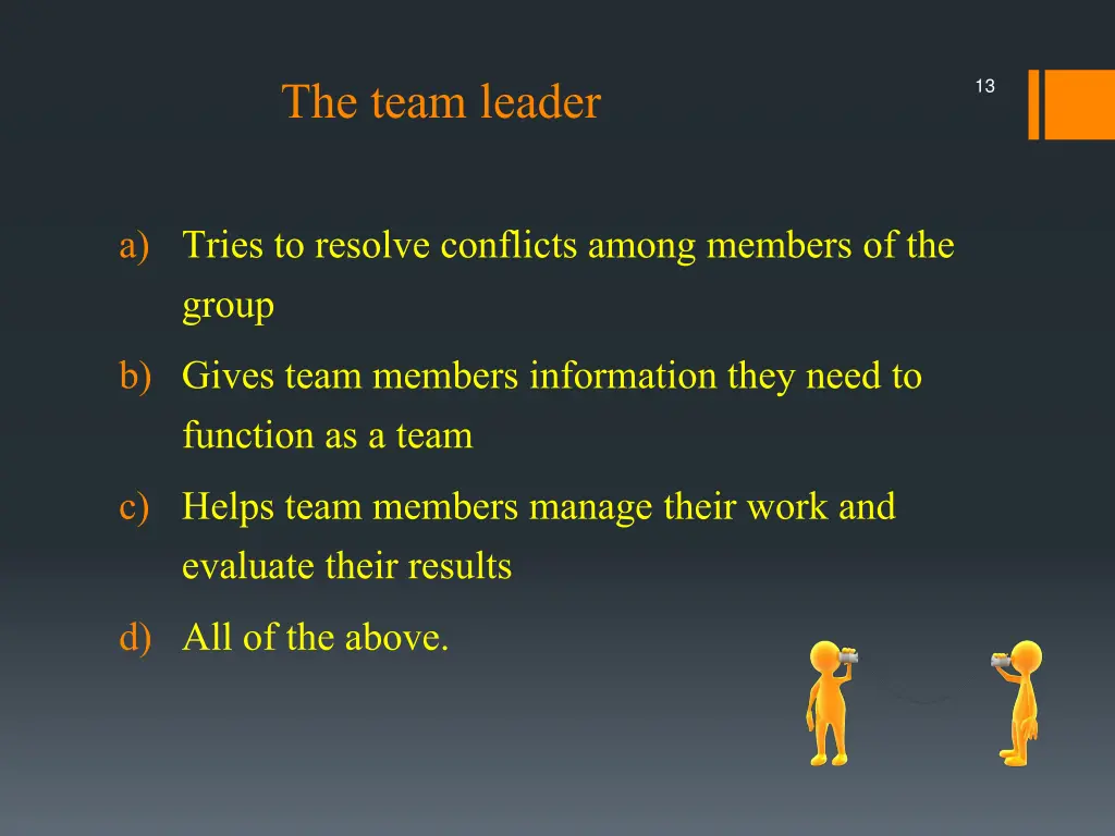 the team leader
