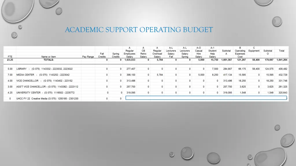 academic support operating budget