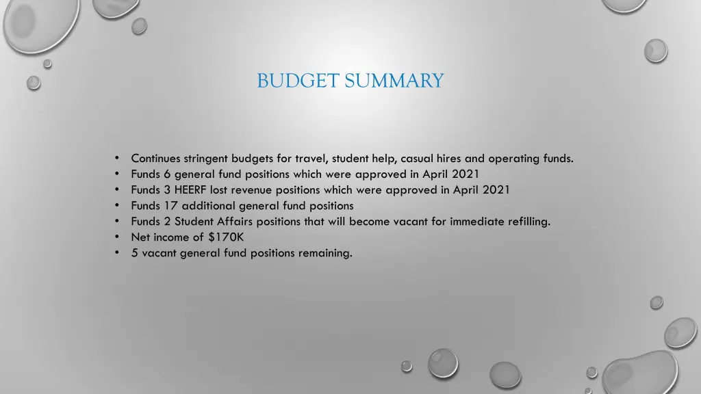 budget summary