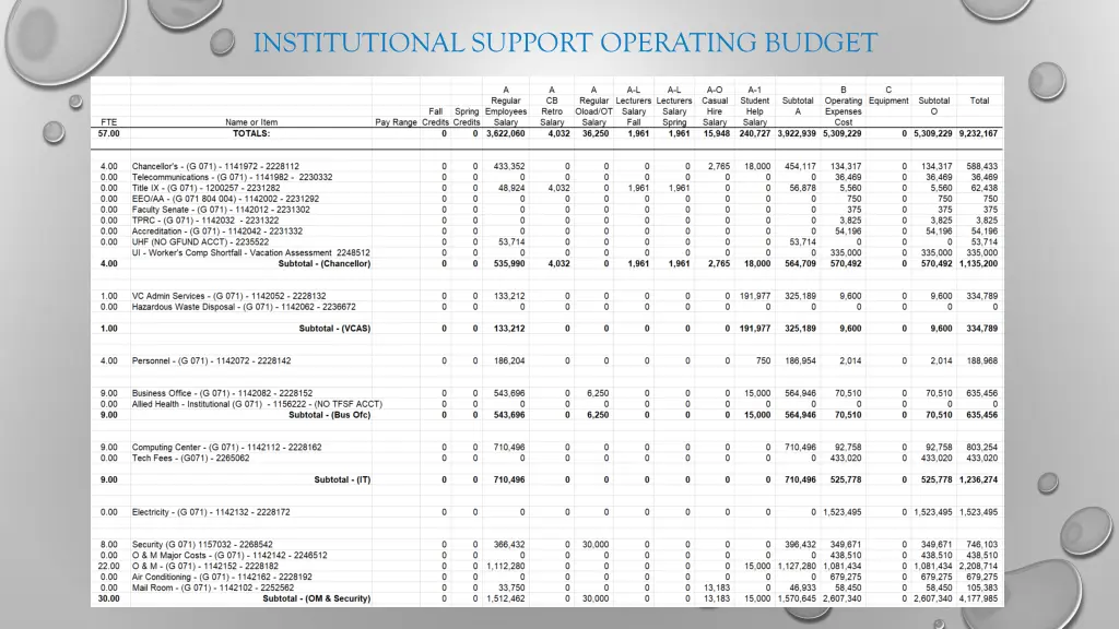 institutional support operating budget