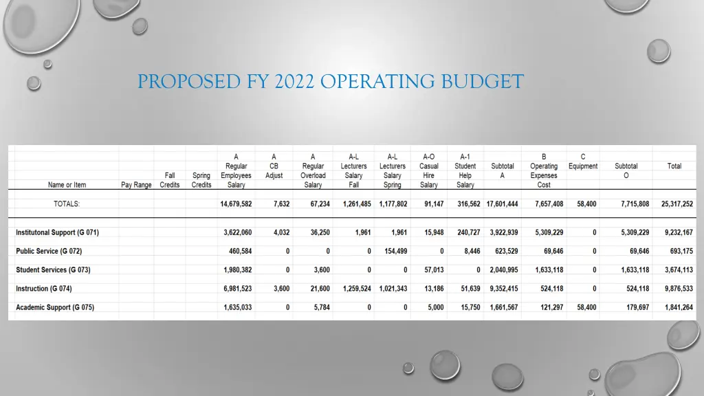 proposed fy 2022 operating budget