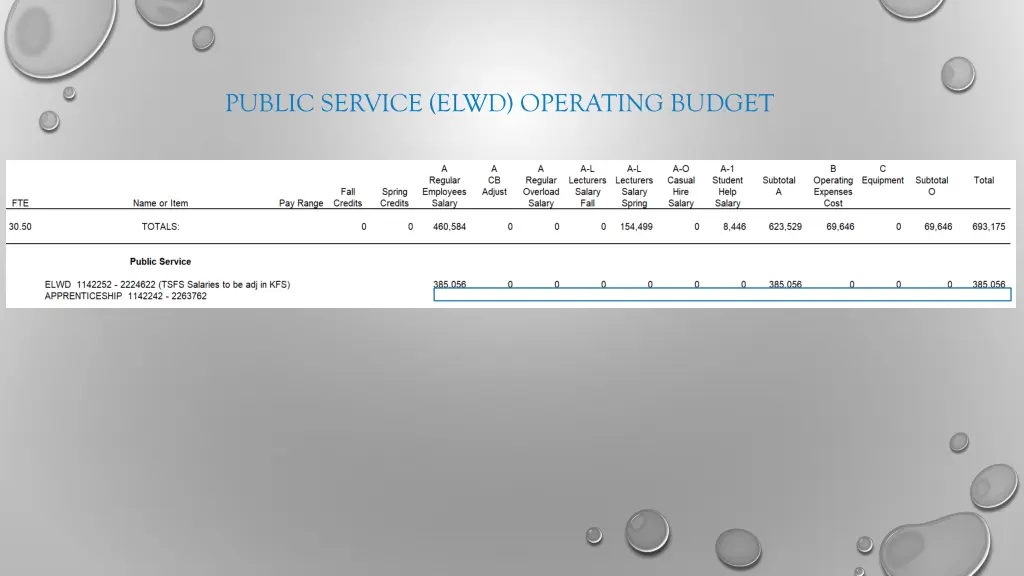 public service elwd operating budget