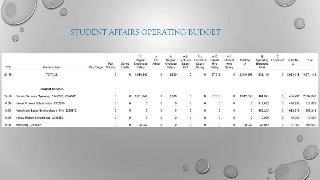 student affairs operating budget