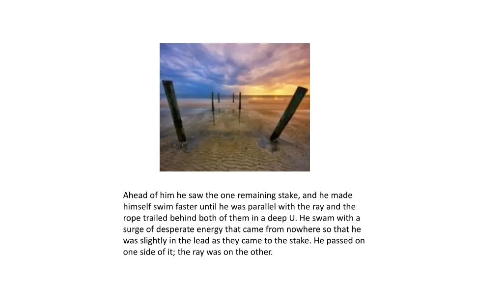 ahead of him he saw the one remaining stake