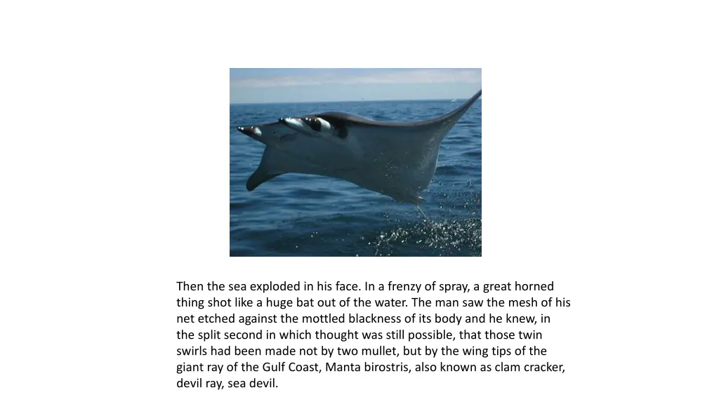 then the sea exploded in his face in a frenzy