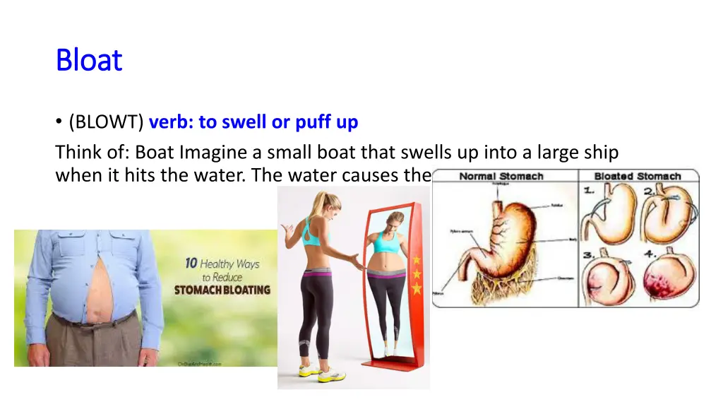 bloat bloat