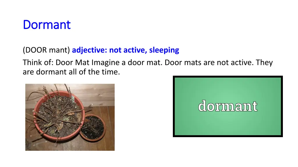 dormant dormant