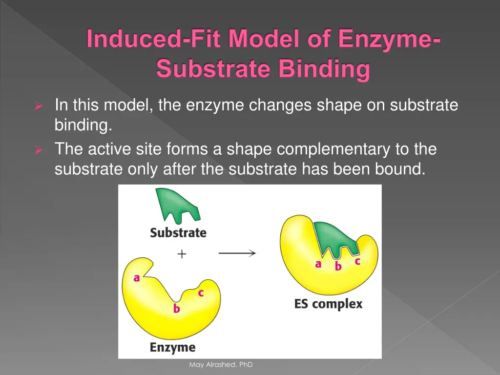 induced fit model of enzyme substrate binding