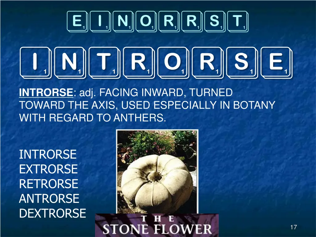 einorrst introrse