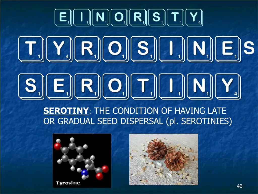 einorsty tyrosine serotiny