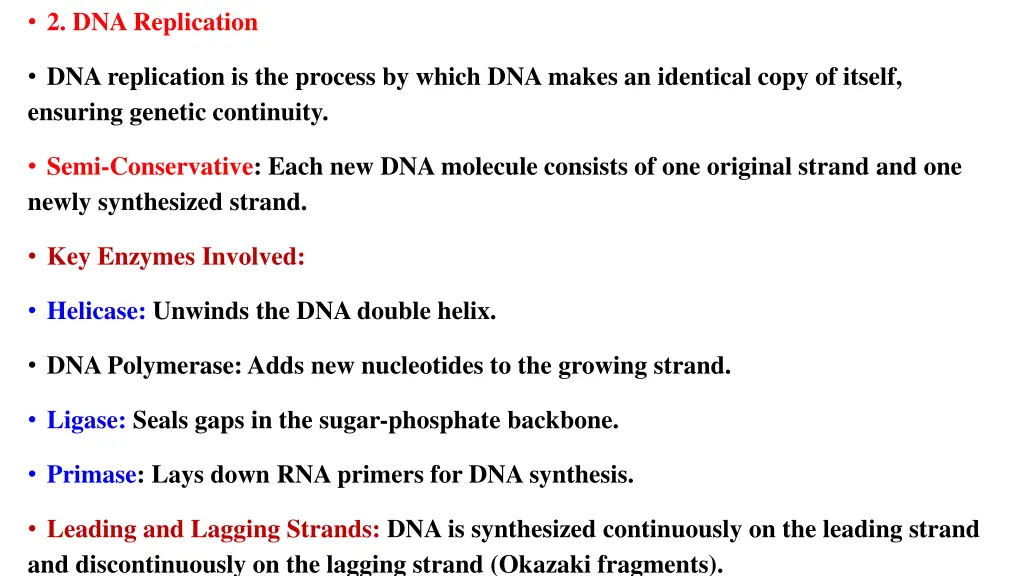 2 dna replication