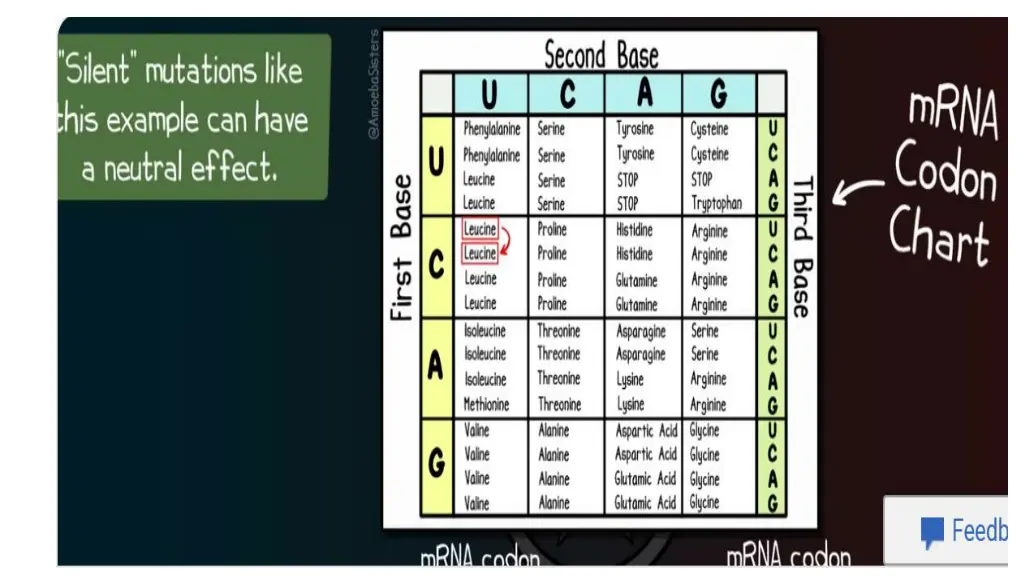 slide10